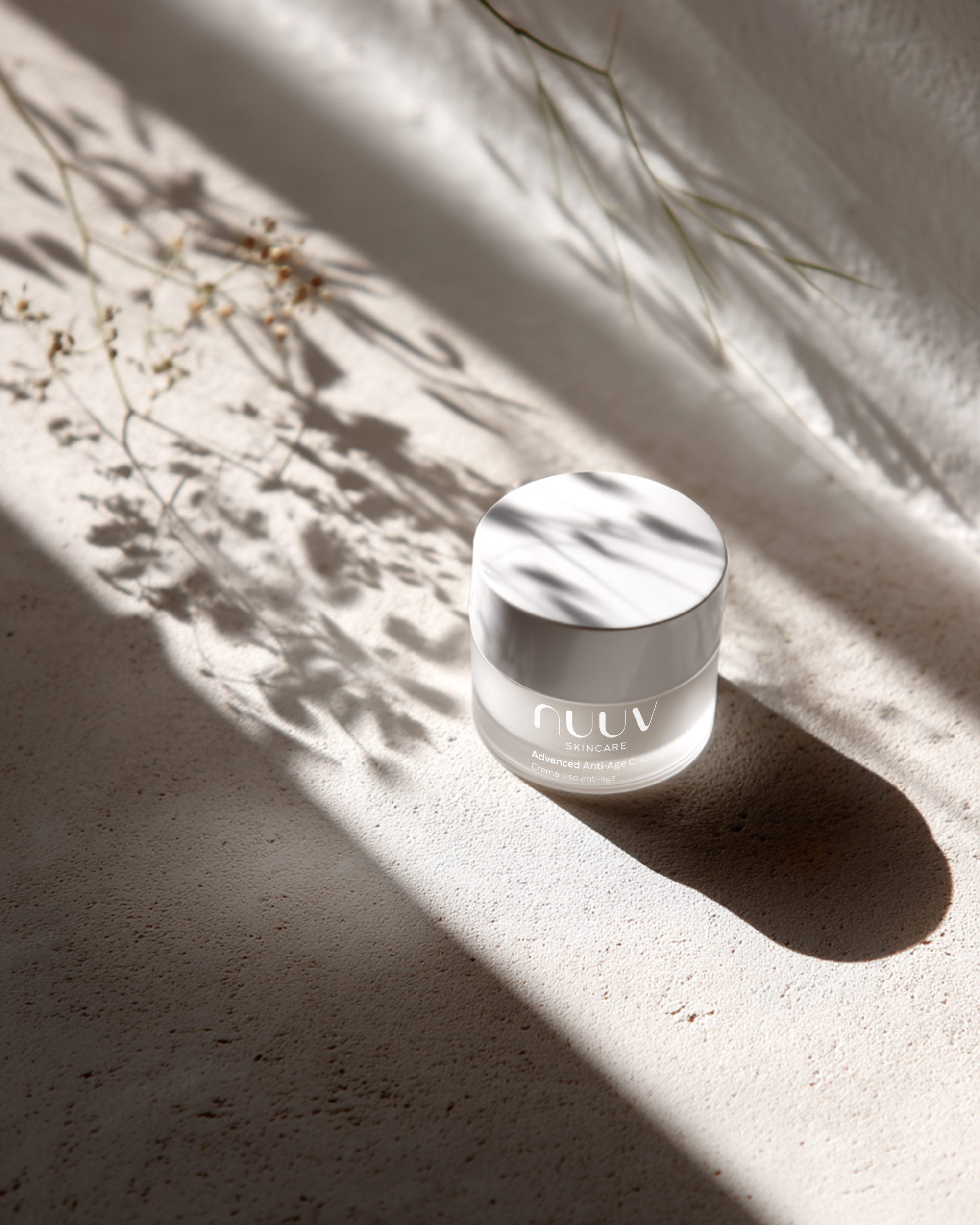 Descrizione immagine